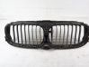 Front grill 18715610