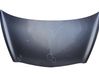 Engine bonnet/hood 