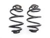Rear coil spring PART00165