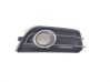 Front grill 8X0807682A