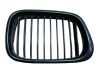Front grill 81593140