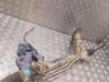 Steering rack 4615065
