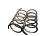 Muelle espiral trasero 
