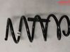 Front coil spring 2423263