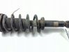 Rear shock absorber/damper 