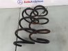 Front coil spring 