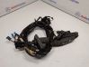 Front door wiring loom 6900923