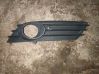 Front fog light trim/grill 