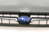 Front bumper upper radiator grill 