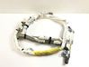Roof airbag 621800F020