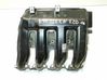 Intake manifold 7795393
