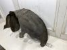 Revestimientos de la aleta guardabarros antisalpicaduras trasera 