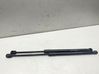 Front bonnet/hood damper/strut 31479642