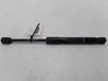 Front bonnet/hood damper/strut 31278769