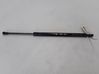Tailgate strut 31335392