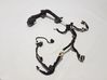 Other wiring loom 241256523R