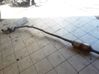 Muffler/silencer 8690794