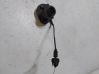 Cruise control unit/module 354111625482