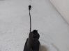 Cruise control unit/module 354111625482