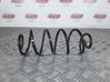 Rear coil spring 