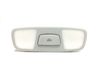 Headlining lighting console trim 