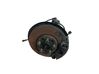 Front wheel hub spindle knuckle 