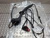 Rear door wiring loom S25099975
