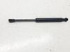 Tailgate/trunk strut/damper A2119800564
