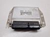 Engine control unit/module 391004A810