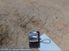 Electric window control switch 61319294884