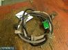 ABS rear brake sensor 3524257