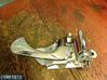 Front door interior handle 