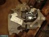 Manual 5 speed gearbox 31219022