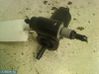 Windscreen/windshield washer pump 28920BC10A