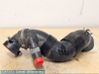 Air intake hose/pipe 3C0129654AG