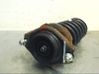 Rear shock absorber/damper 20365AJ000