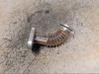 EGR valve line/pipe/hose 