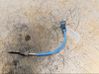 Izplūdes gāzu temperatūras sensors 1496243