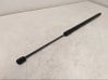 Tailgate strut 5NA827550B