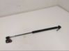 Tailgate strut 817702P000