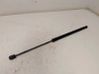 Tailgate strut 31395910