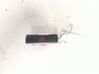 Hazard light switch BS7T13A350AA