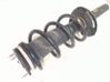 Front shock absorber with coil spring FK2118045AB