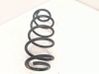 Feder hinten 550207712R