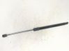 Jambe de force de hayon 510827550B