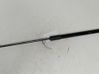 Tailgate strut A1769800264