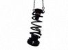 Muelle espiral trasero 9803482980