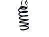 Muelle espiral trasero 550202996R