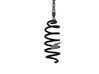 Muelle espiral trasero 550208225R