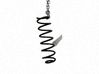 Muelle espiral trasero 550200061R
